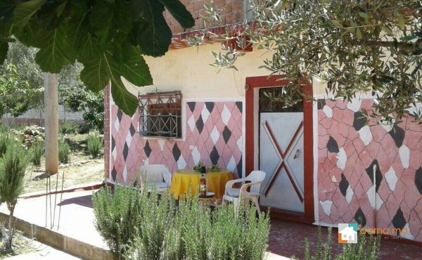 terrain avec maison ( arbaoua )